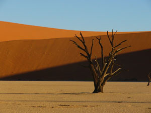 Východní Afrika - manželé Špillarovi